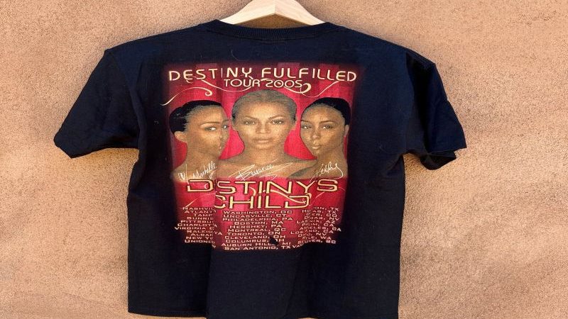 Unlocking the Secrets of Destinys Child Official Store: Insider’s Guide