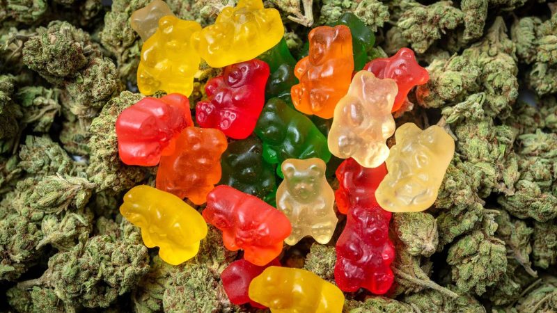 Reduce Chronic Pain With The Best CBD Gummies